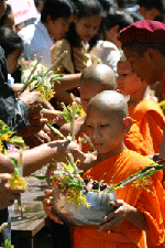 Tak Bat Dok Mai Festival in Saraburi Buddhist Lent Day