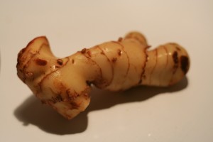 Thai Cooking and Its Key Ingredients - Galangal