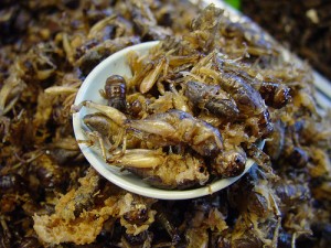 Fried Crickets - More Thai Snacks