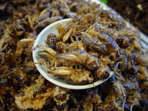 Fried Crickets - More Thai Snacks