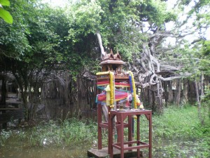 San Chao Ti plays a vital role in religion in Thailand’s north east and west, in the farm lands