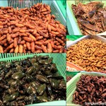 More Weird food of Thailand – Insect dishes