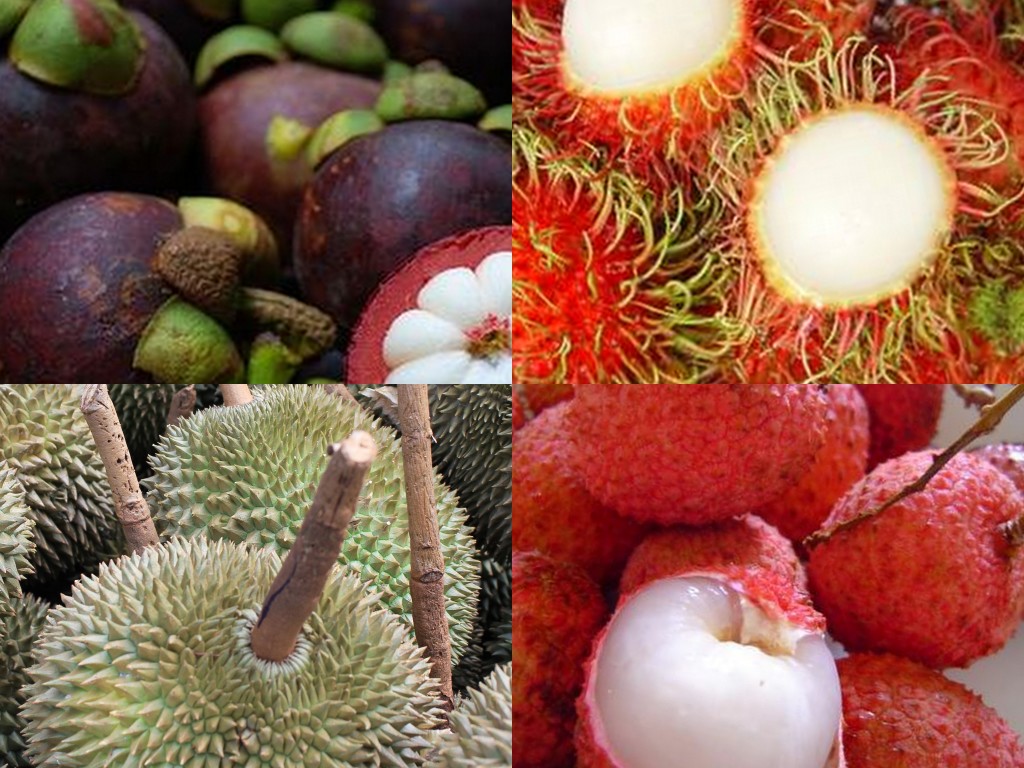 Fruits of Thailand