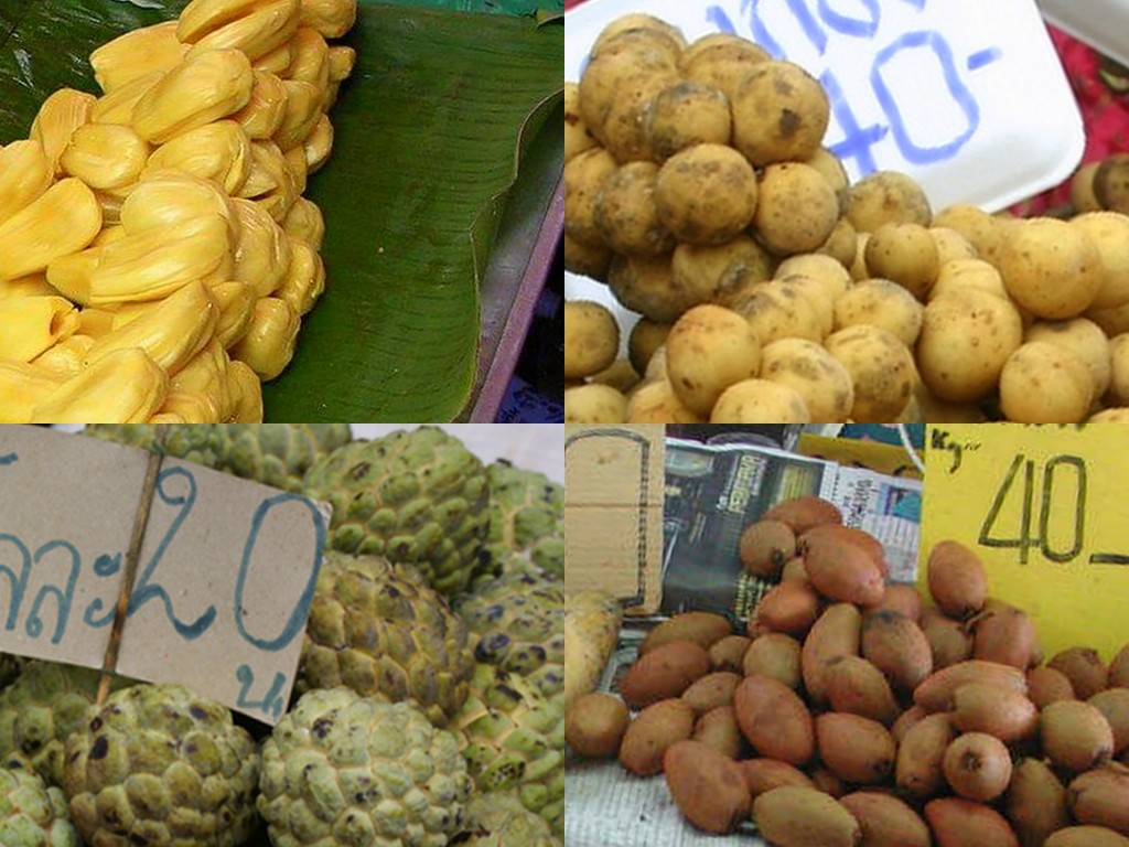 more_fruits_of_thailand