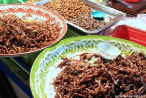 Deep fried insects