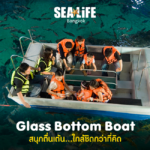 SEA LIFE Bangkok Ocean World
