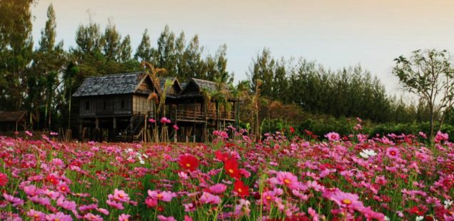 Why Jim Thompson’s Farm is your next travel destination this December!