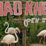 Khao Kheow Open Zoo Siracha, Thailand