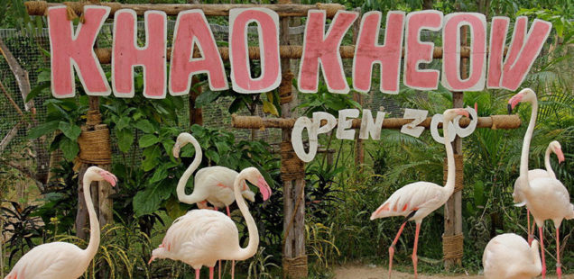 Khao Kheow Open Zoo Siracha, Thailand