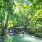 Things To Do in Erawan National Park